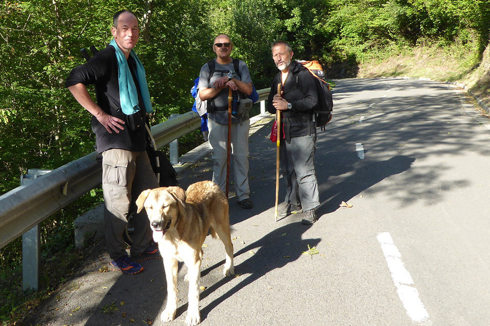 8 itinéraires à Compostelle avec un chariot-image