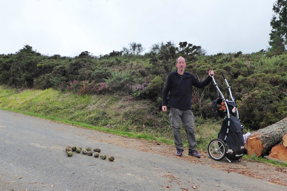 8 itinéraires à Compostelle avec un chariot-image